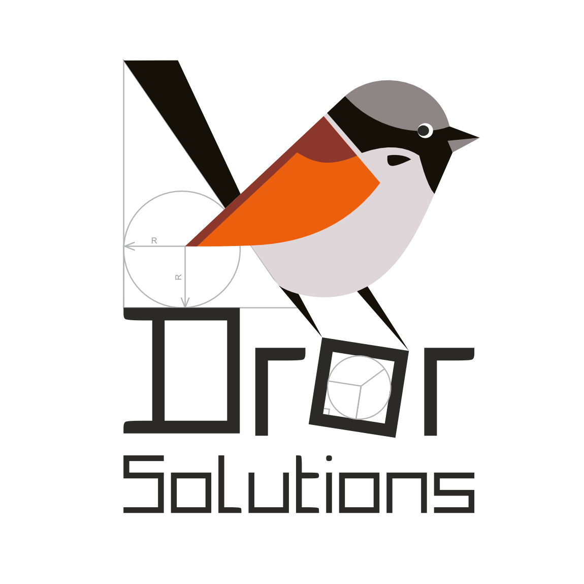 DrorSolutions